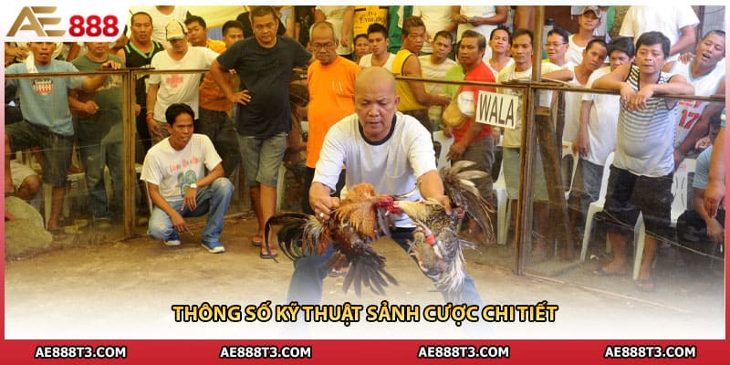 Thông số kỹ thuật sảnh cược chi tiết